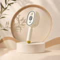 Brosse de Massage Électrique à Coussin d'Air avec Spray Ionique Nano-Brume Avancé