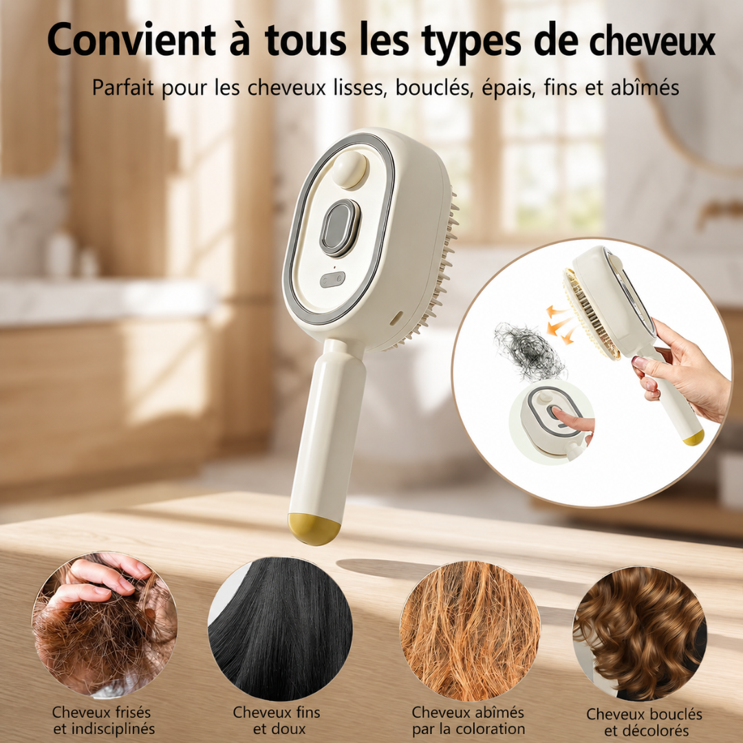 Brosse de Massage Électrique à Coussin d'Air avec Spray Ionique Nano-Brume Avancé